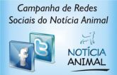 CAMPANHA PARA WEB (REDES SOCIAIS)